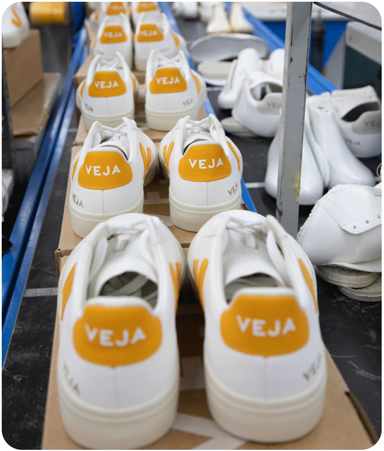 Produção do tênis VERT/VEJA Campo ChromeFree Leather White Ouro